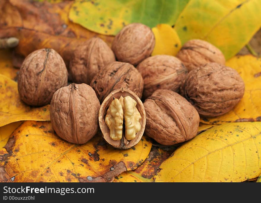 Walnuts