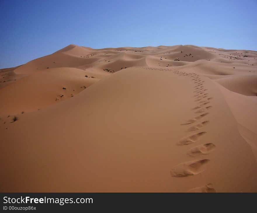 The yellow desert with blue sky. The yellow desert with blue sky