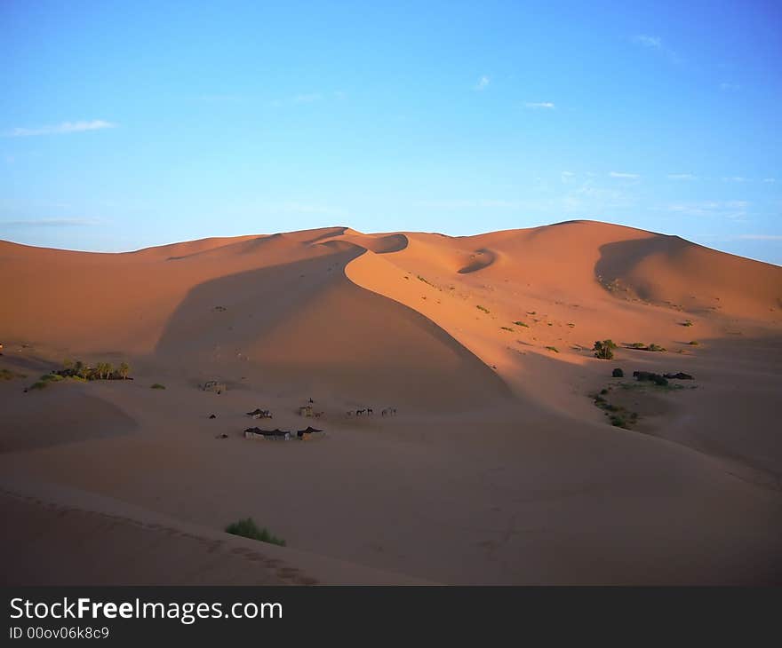 The yellow desert with blue sky