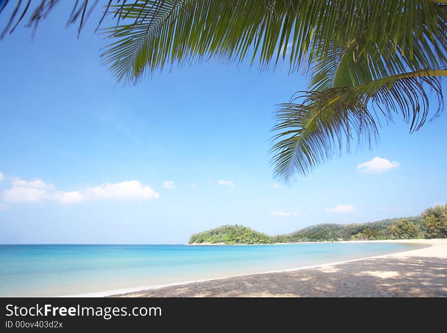 View of nice tropical empty sandy beach with some palm. View of nice tropical empty sandy beach with some palm