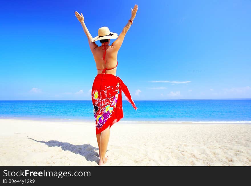 View of female back on a background of the tropical sea. View of female back on a background of the tropical sea