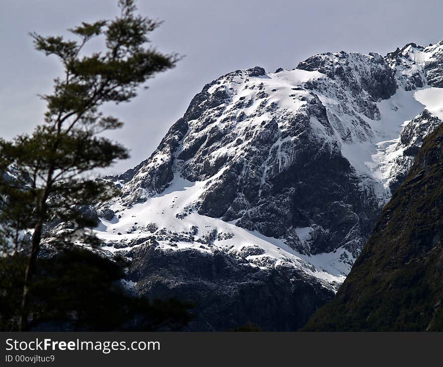 The road to Milford is one of New Zealand’s most scenic drives. The first part is relatively mild farmland, then you’ll ease into beech forest near the entrance to the Fiordland National Park. Look for the Avenue of the Disappearing Mountain and the Mirror Lakes.
Beautiful Milford Sound, described by Rudyard Kipling as the ’eighth wonder of the world’. A cruise on Milford Sound will be an essential component of your time in Fiordland, or you can get up close and personal in a sea kayak. Tall waterfalls, vertical rock faces and seals are some of the things you’ll remember