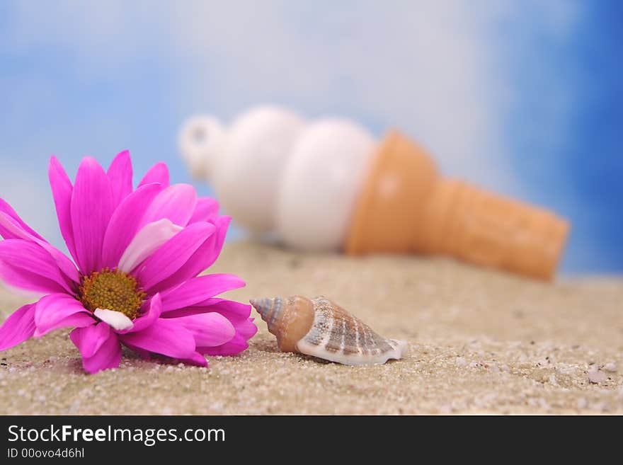 Flower and Sea Shell on Sand With Ice Cream Cone, Shallow DOF. Flower and Sea Shell on Sand With Ice Cream Cone, Shallow DOF