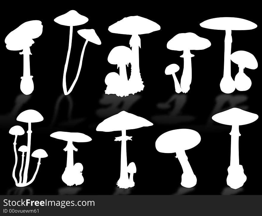 Mushrooms silhouette as symbol of autumn season