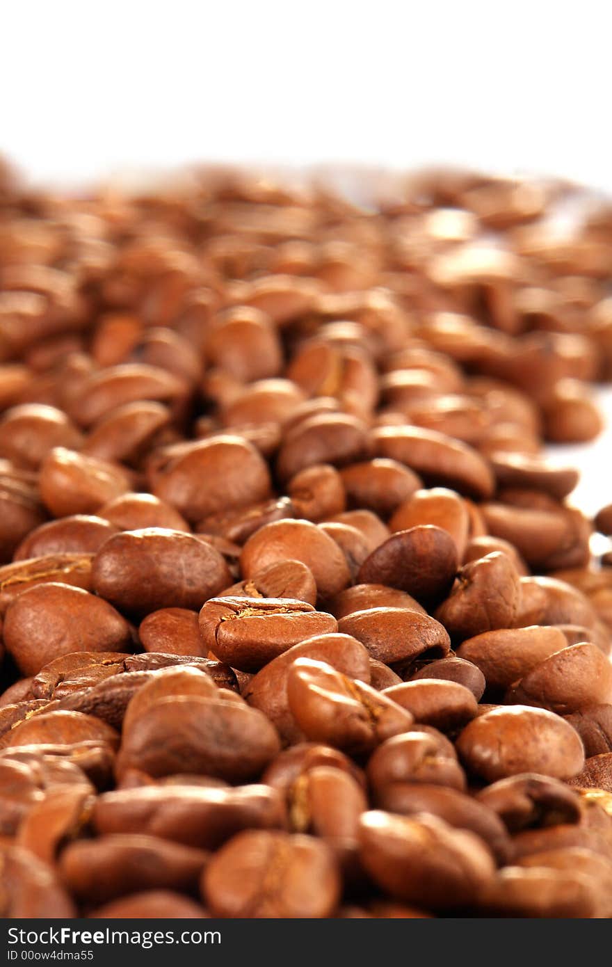 Grains of coffee on a white background