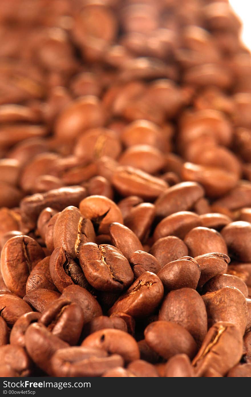 Grains of coffee on a white background