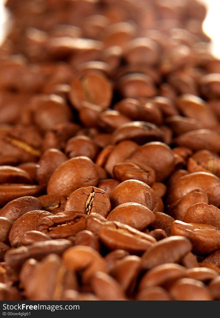 Grains of coffee on a white background