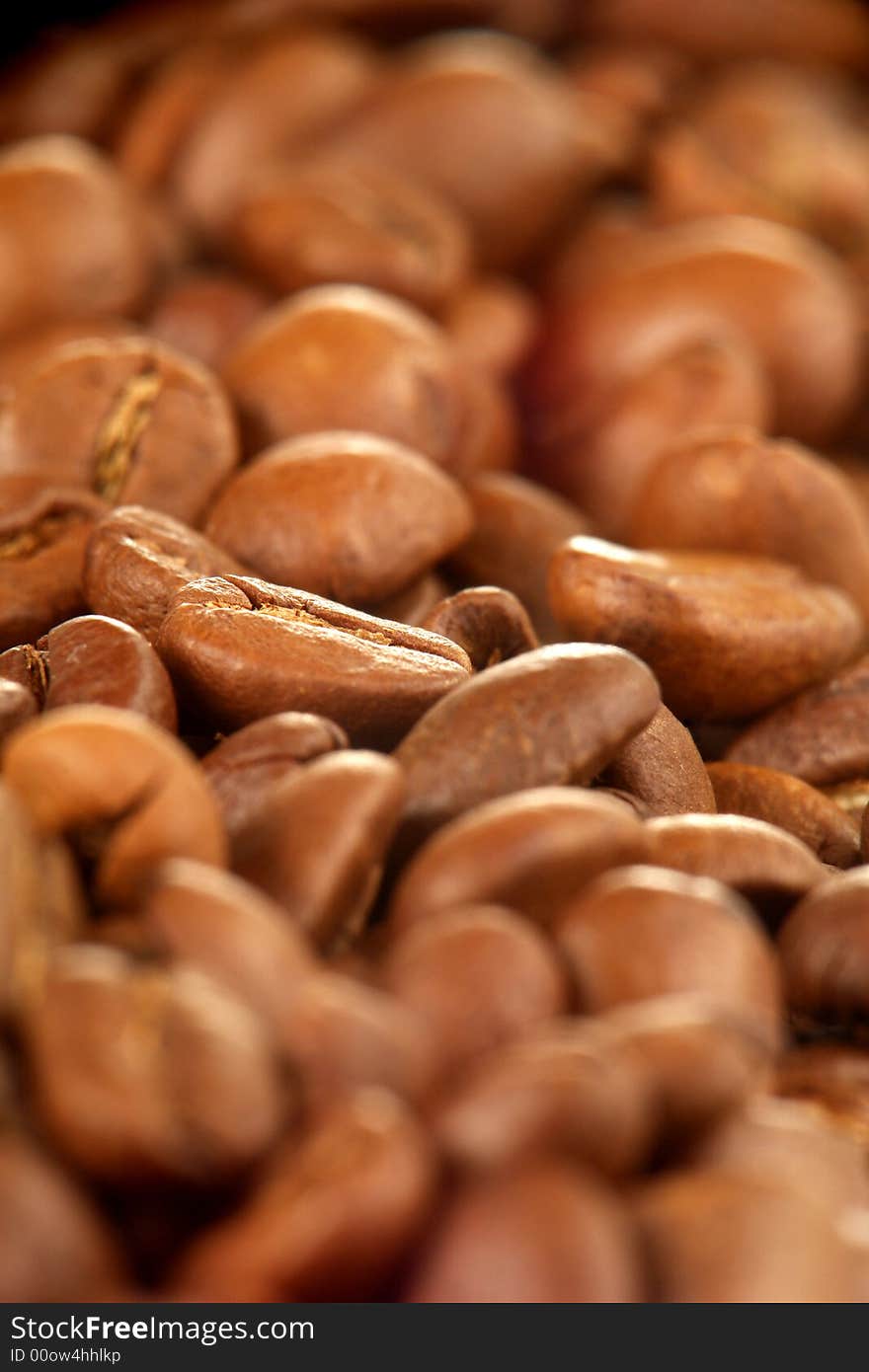 Grains of coffee on a white background