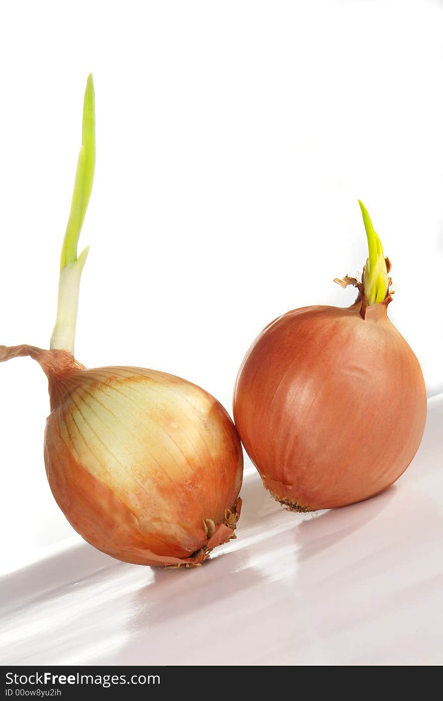 Onions