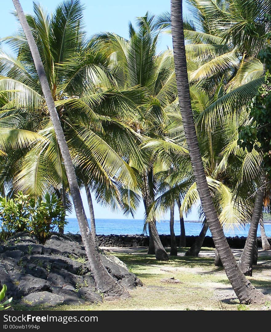 Pu Uhonua O Hohauhan