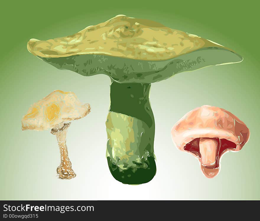 Abstract green background with various mushroom types. Abstract green background with various mushroom types