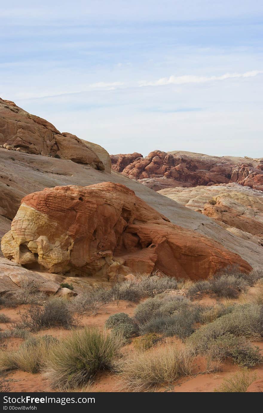 Desert Landscape