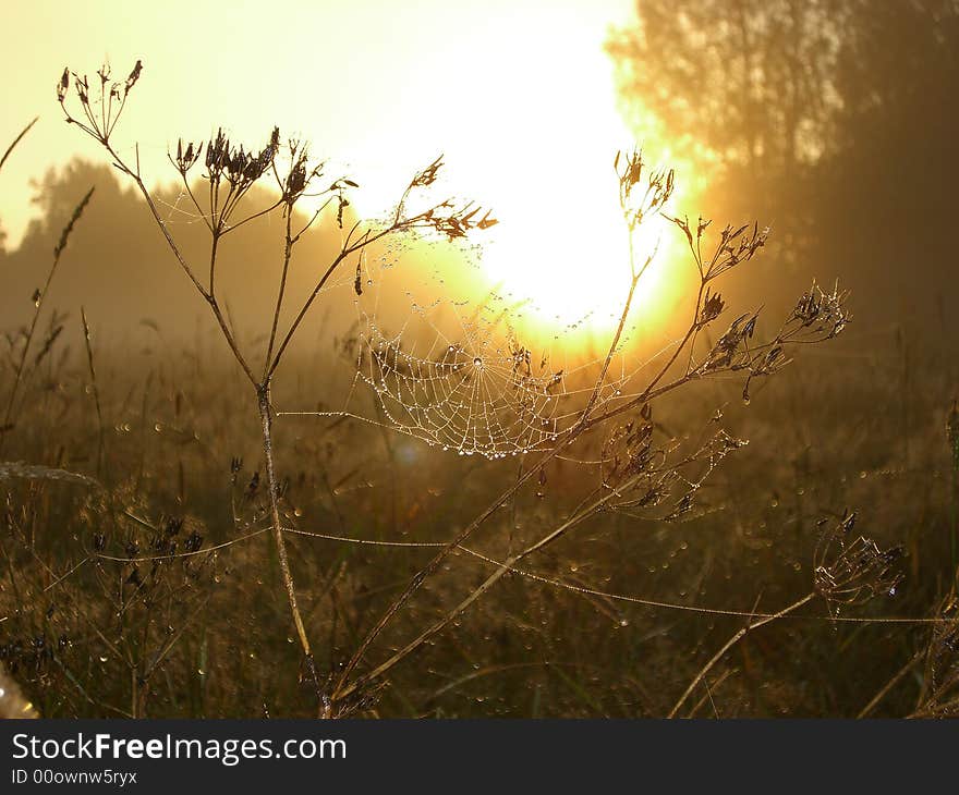 Cradle for the sun in the sunrise time