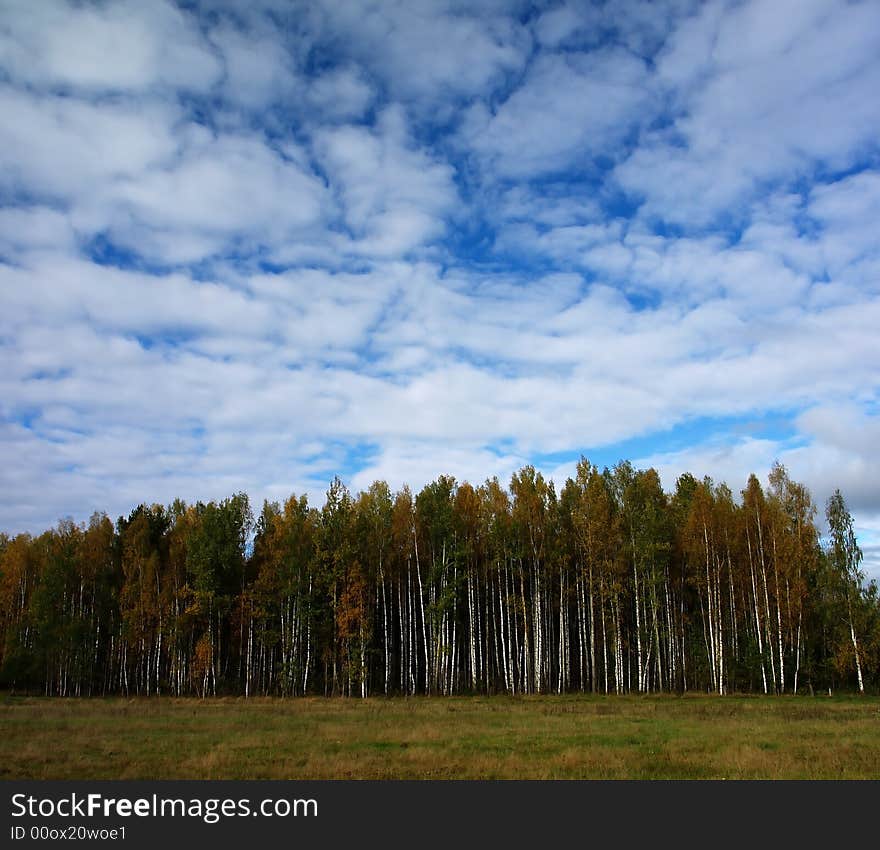 Very beautiful season in latvia -colourful autumn