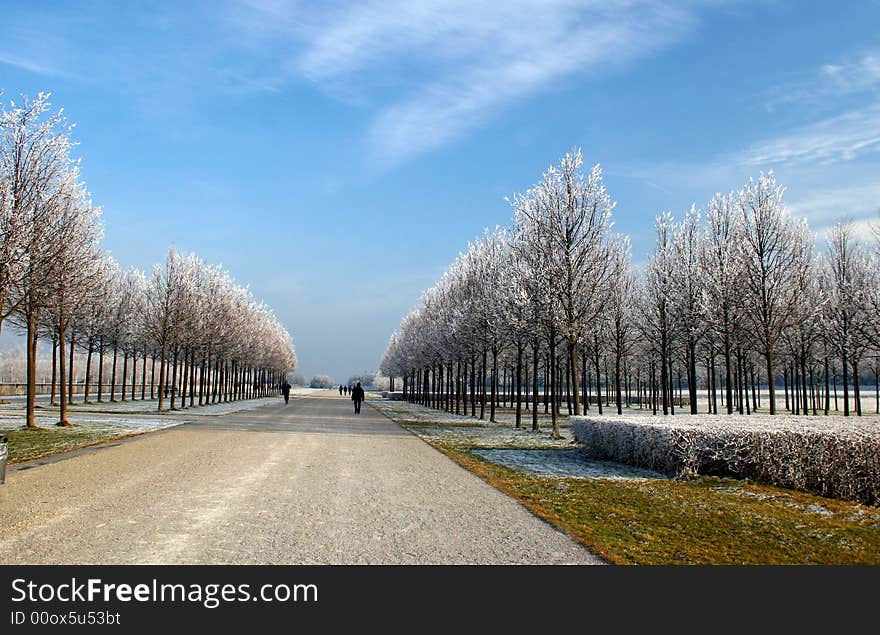 Winter landscape