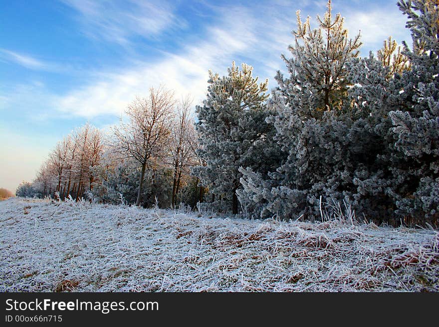 Winter landscape