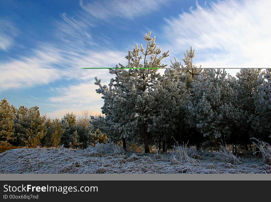 Winter landscape