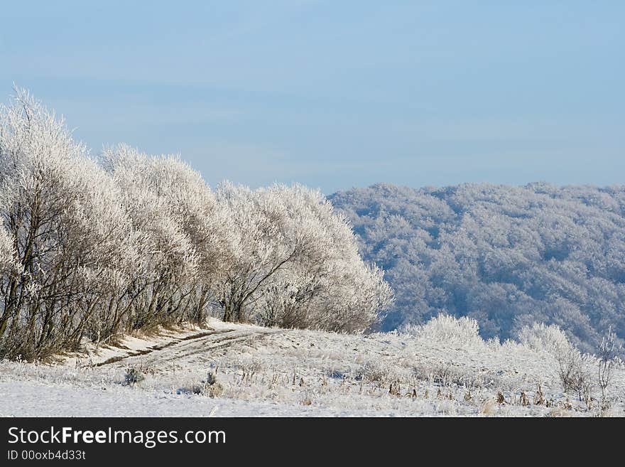 Winter landscape: frozen trees over blue sky