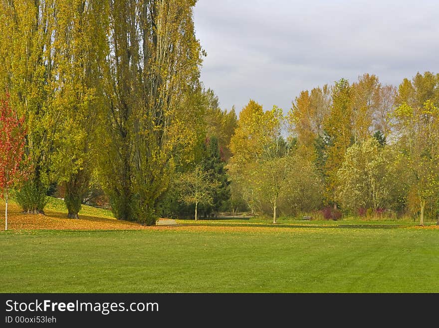 Beautiful park with the lovely colors of fall. Beautiful park with the lovely colors of fall