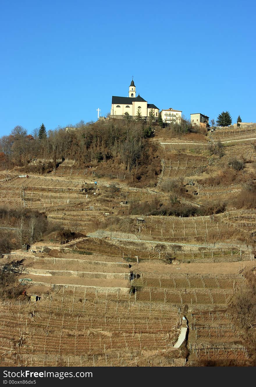 Church and vineyard