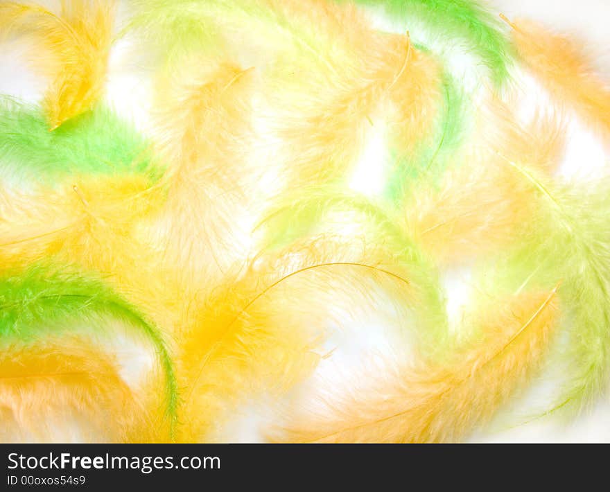 Light background from multi-coloured feathers. Light background from multi-coloured feathers