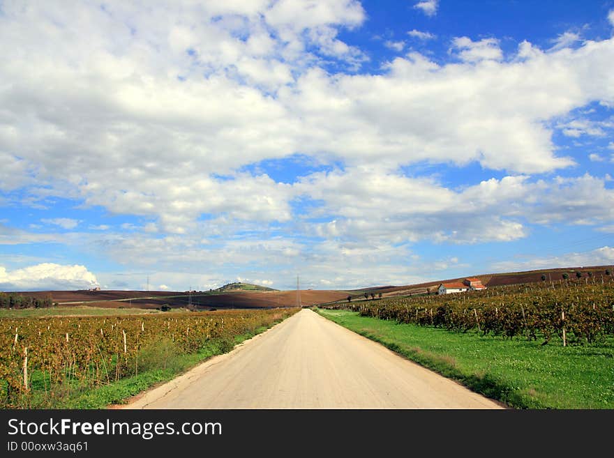 Road in the autumn vineyards, green & gold Country. Autumnal travel background. Sicily