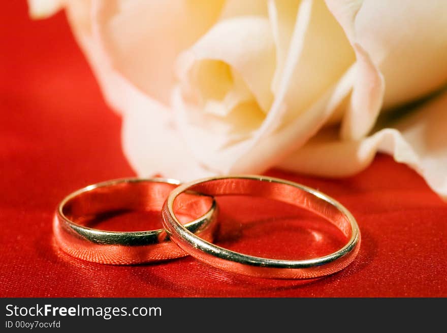 On a photo a rose and wedding rings