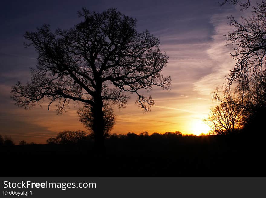 Winter Sunrise