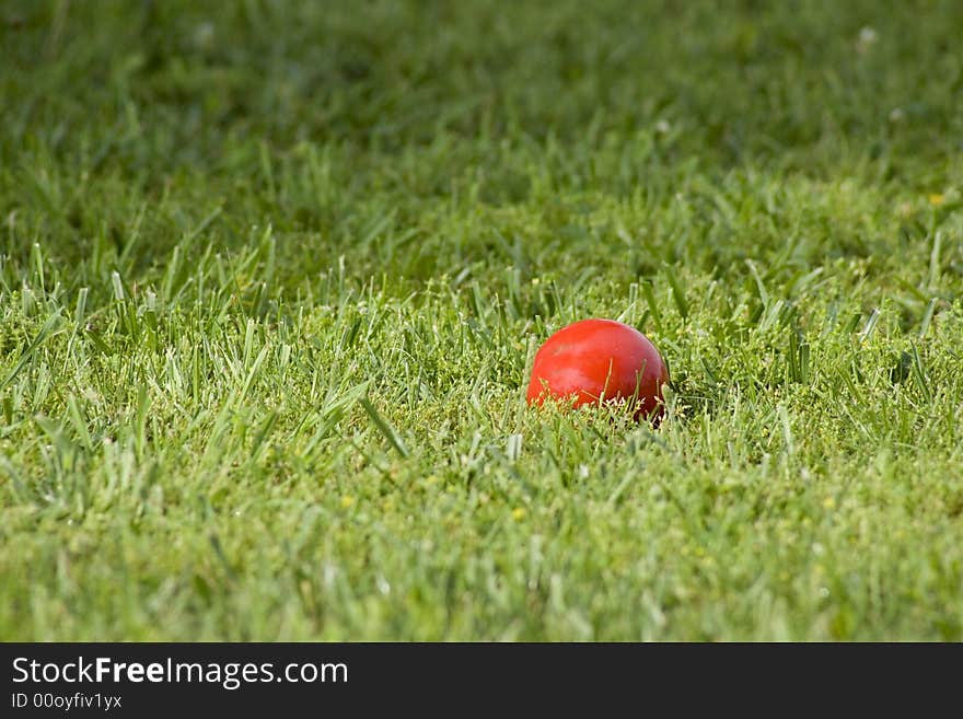 Red Croquet Ball