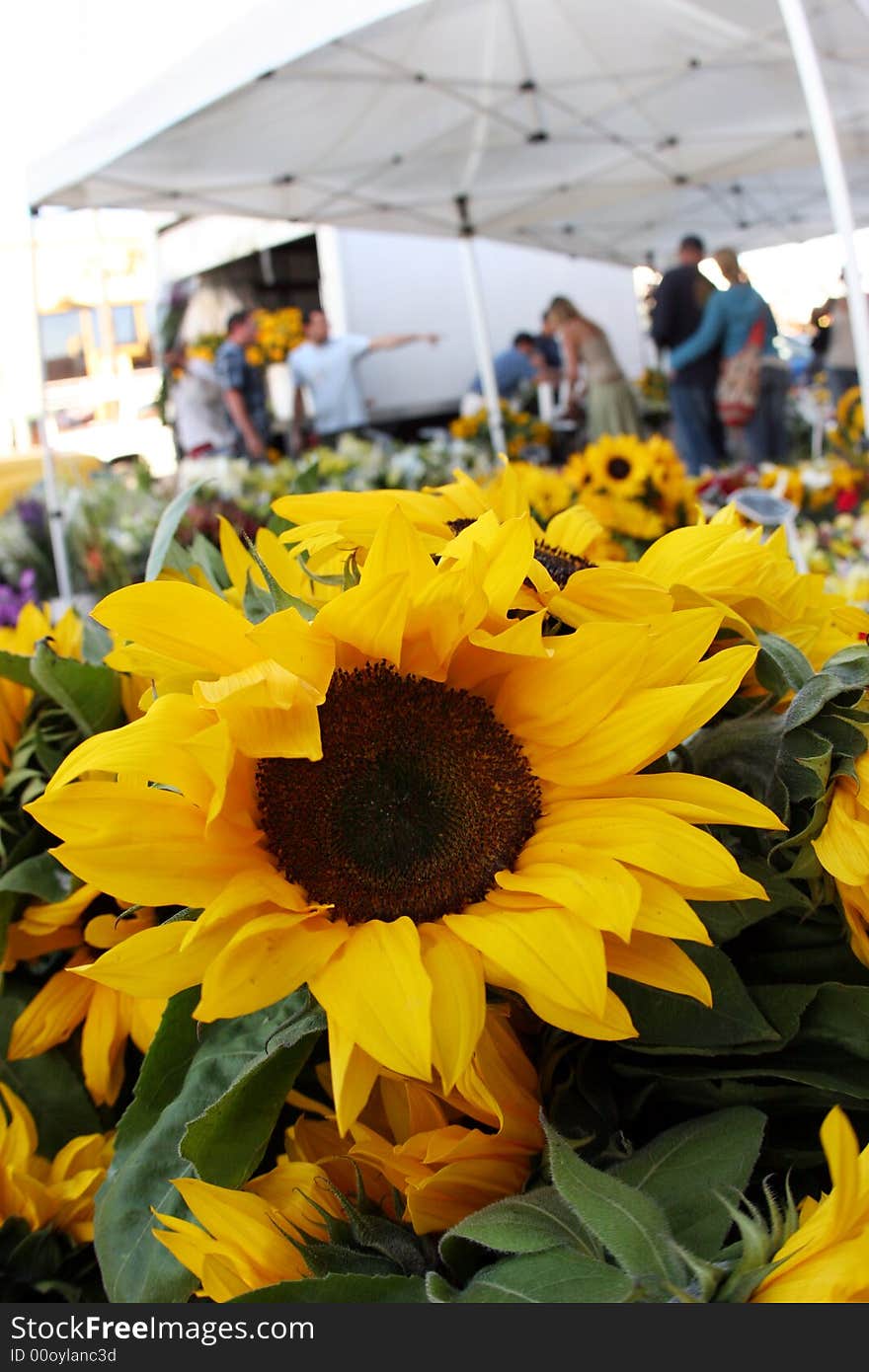 Sunflowers at the market