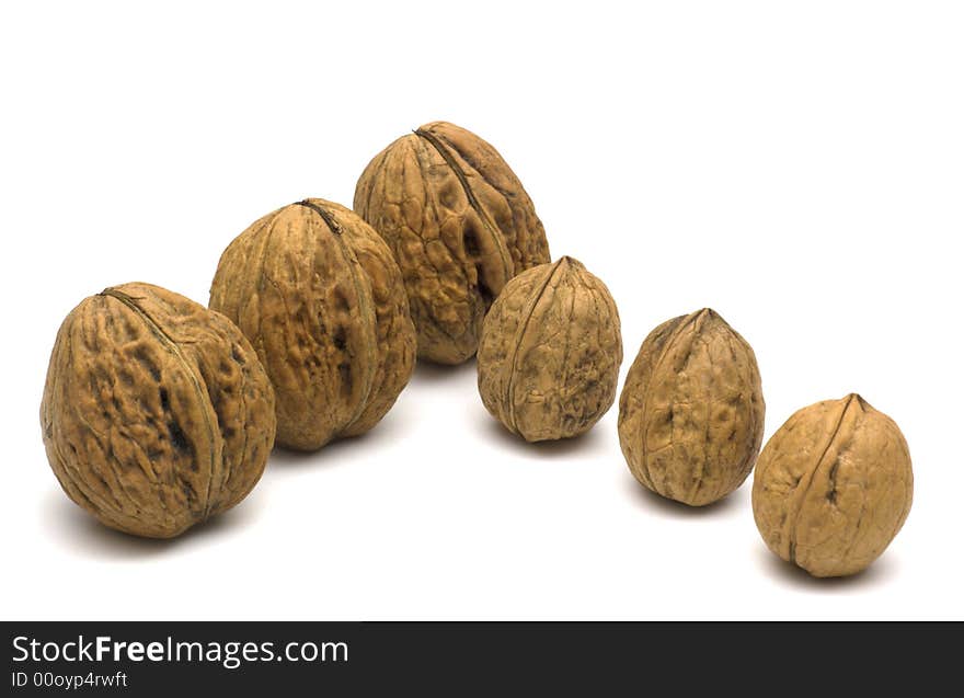 Big and small walnuts