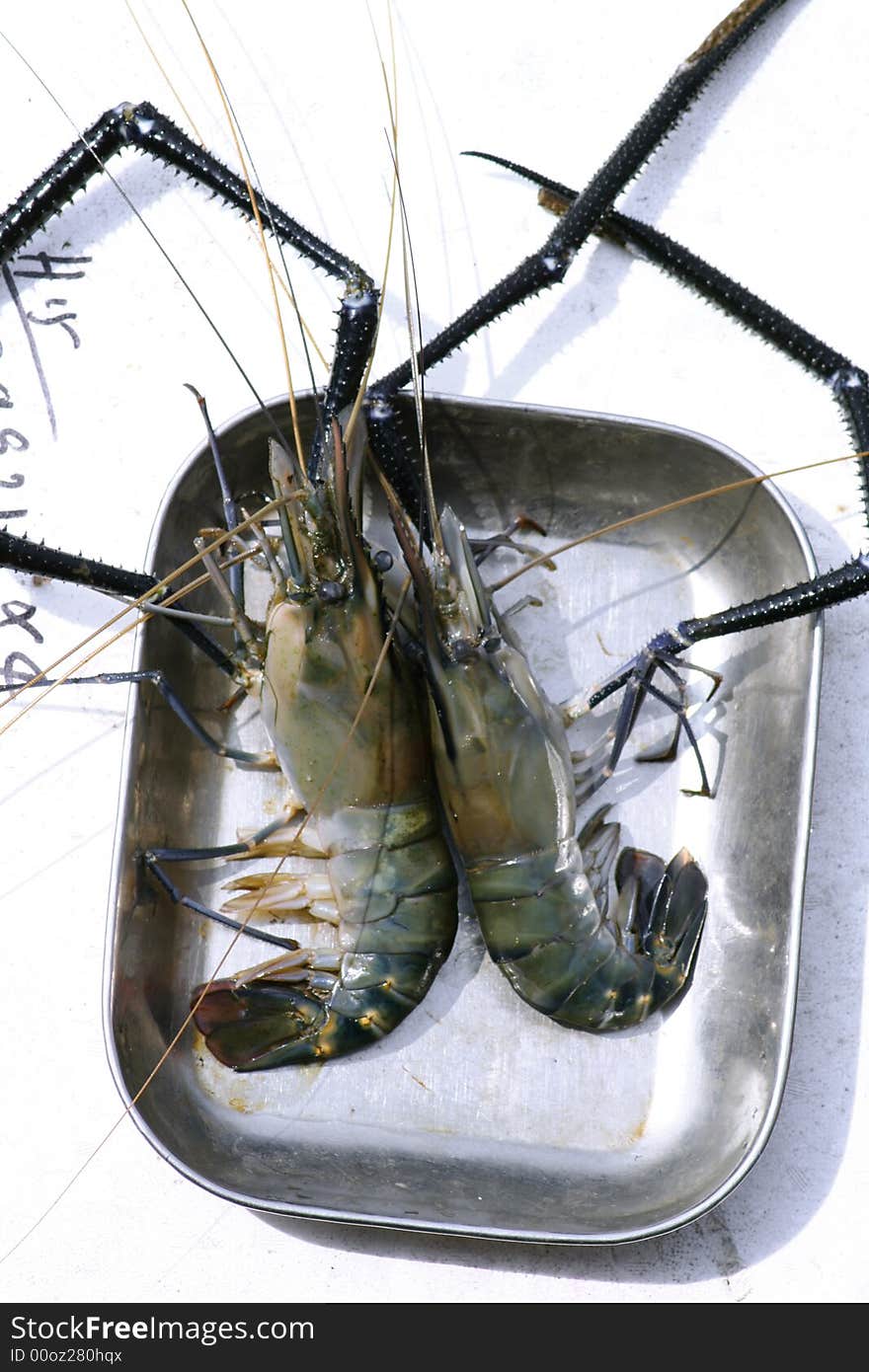 Fresh king prawns ready to be cooked