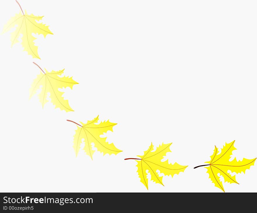 The vector image of a falling leaf. The vector image of a falling leaf