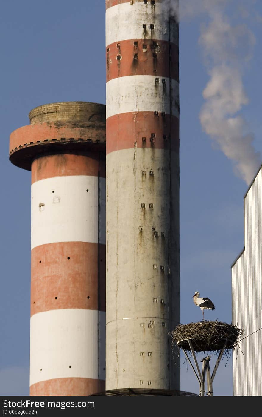 Stork near power plant with smoke. Stork near power plant with smoke