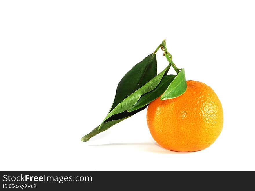 Tangerine Or Mandarine