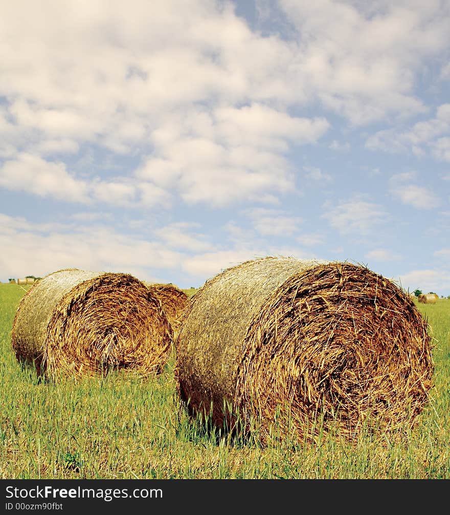 Hay bale rolls in countryside. Hay bale rolls in countryside