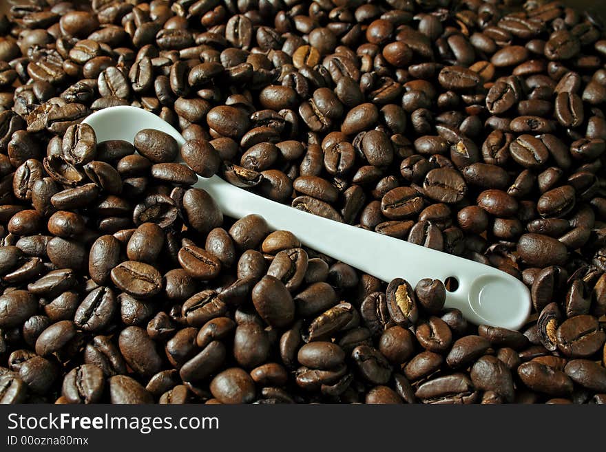 Coffee Beans