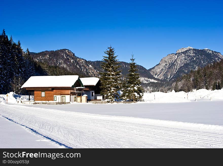 Alpine Scene