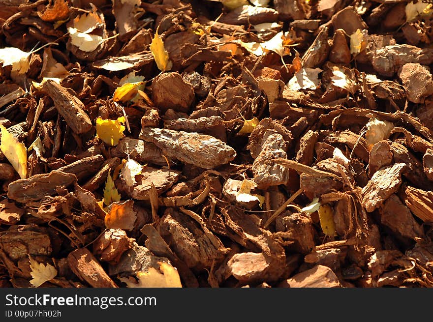 Golden background of fallen autumn leaves and tree bark. Golden background of fallen autumn leaves and tree bark