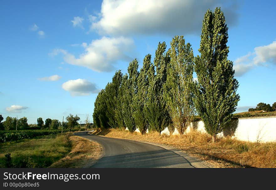 Road in the country in a sunny day