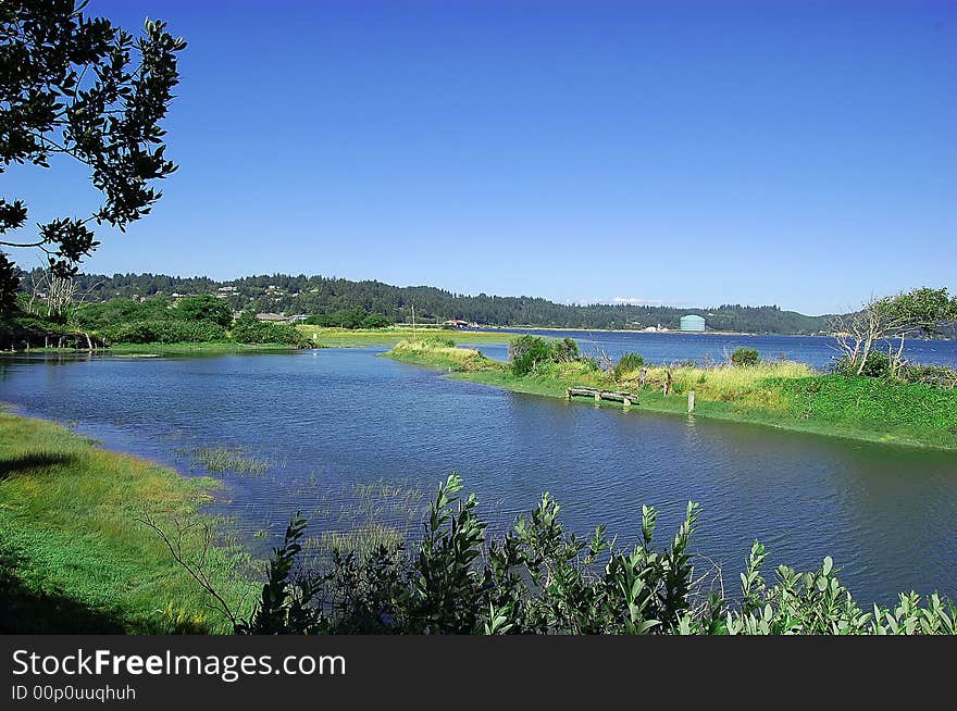 A river meeting grasslands with various plants, shrubs, and trees with a clear blue sky. A river meeting grasslands with various plants, shrubs, and trees with a clear blue sky.