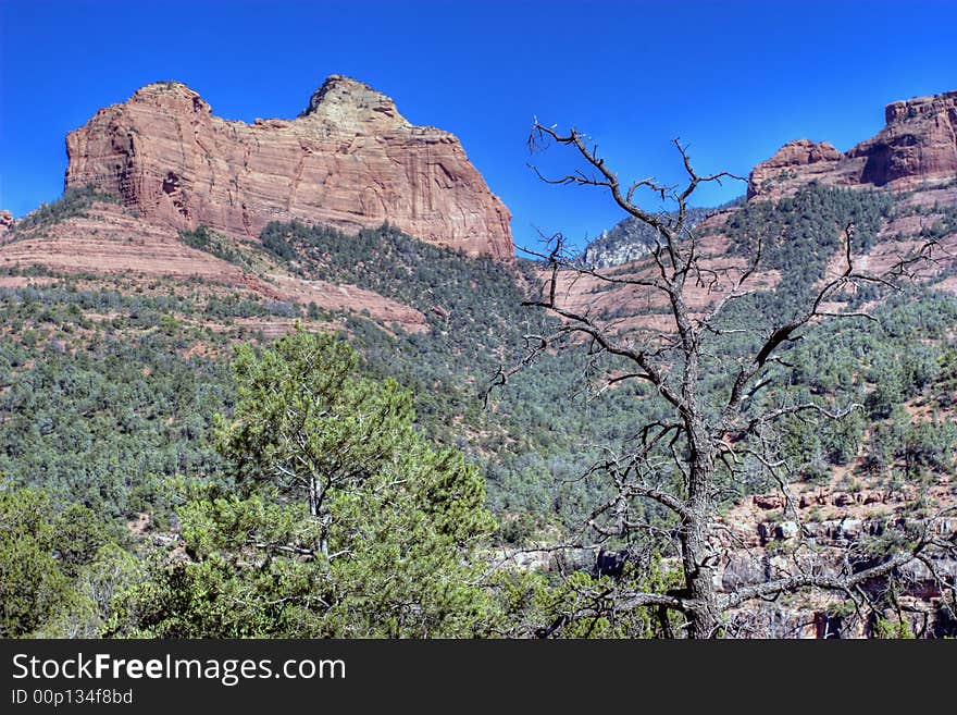 Sedona Arizona USA