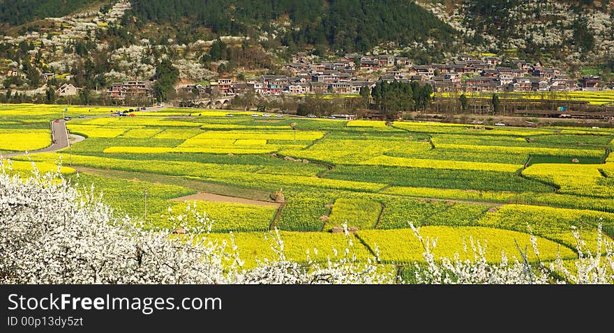 Spring Fields & Village