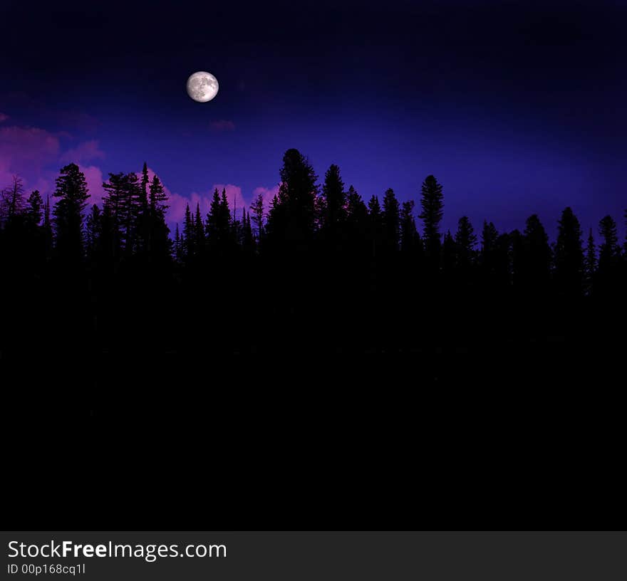 Forest Moonrise