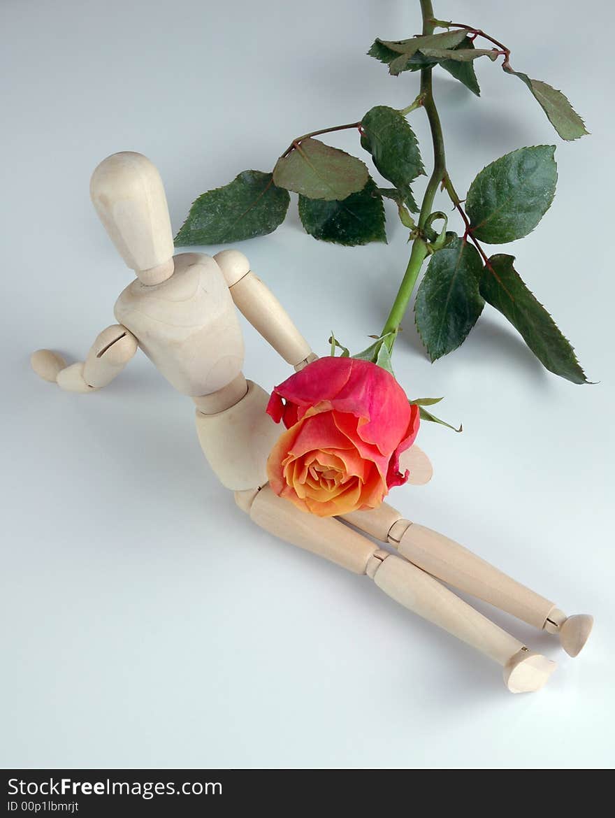 A female mannequin with a rose, isolated on white.  Photographed in a studio. A female mannequin with a rose, isolated on white.  Photographed in a studio.