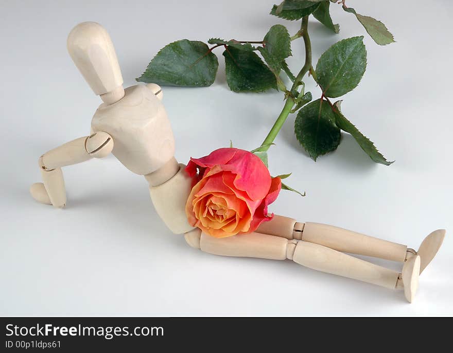 A female mannequin with a rose, isolated on white. Photographed in a studio. A female mannequin with a rose, isolated on white. Photographed in a studio.