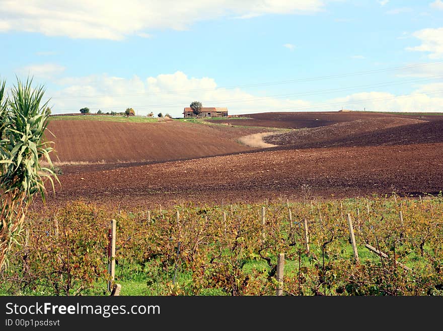 Beautiful autumn country landscape.  Wineyards, cultivated land, hill with a way for the farm and blue sky & clouds. Sicily, Italy. Beautiful autumn country landscape.  Wineyards, cultivated land, hill with a way for the farm and blue sky & clouds. Sicily, Italy