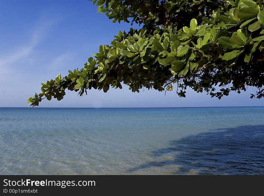 A deep blue ocean with tree over it. A deep blue ocean with tree over it