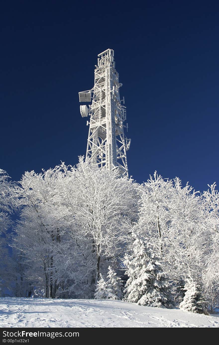 Frozen transmitter with trees on clear sunny winter day.