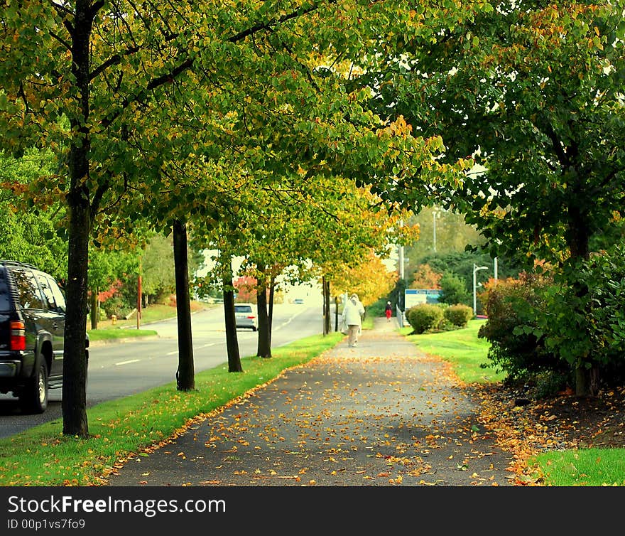 A view of autumn in a neighborhood. A view of autumn in a neighborhood